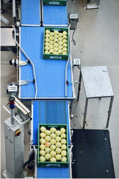 Case study image